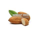 Load image into Gallery viewer, Raw Organic Bitter Apricot Seeds image 1