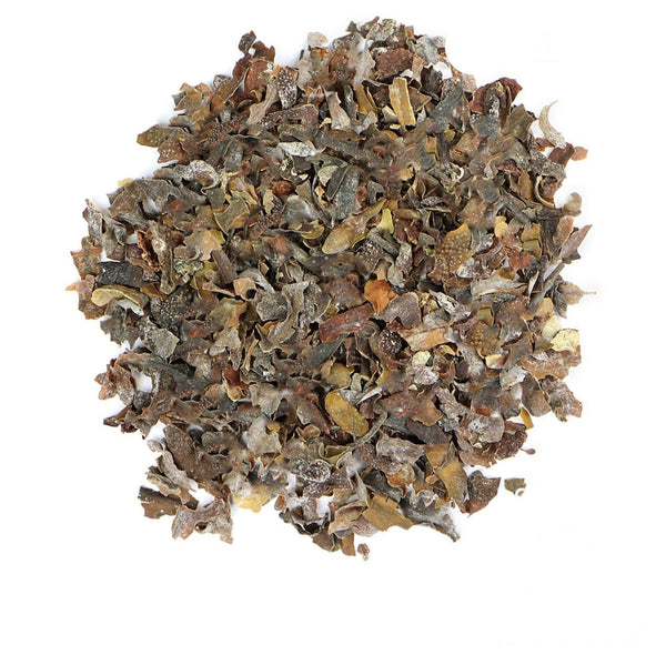 Organic Wildcrafted Bladderwrack c/s brown seaweed image 0