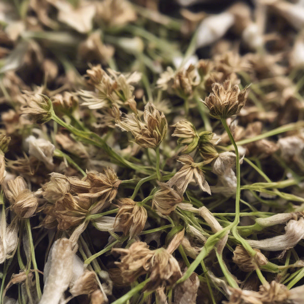 Organic Chickweed image 0