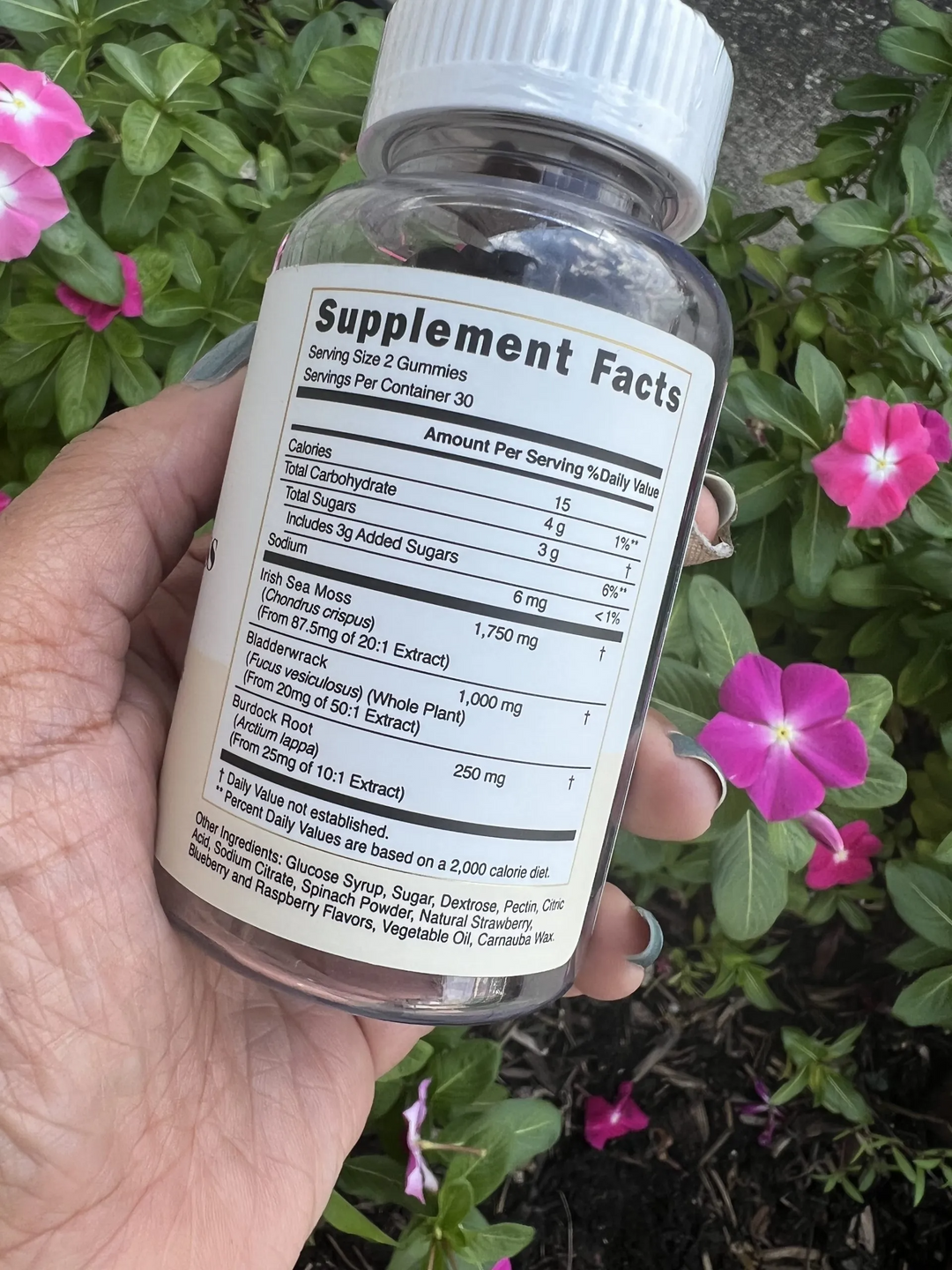 SEA MOSS 102 GUMMIES WITH BLADDERWRACK & BURDOCK ROOT FOR ADULTS image 1