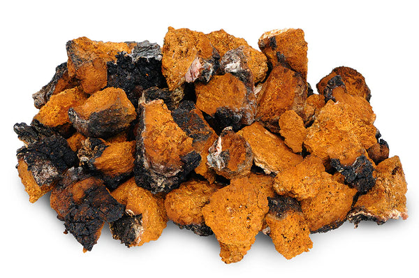 Organic Chaga Mushroom Powder image 0