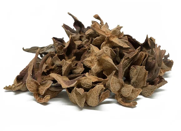 Flor de Manita image 0