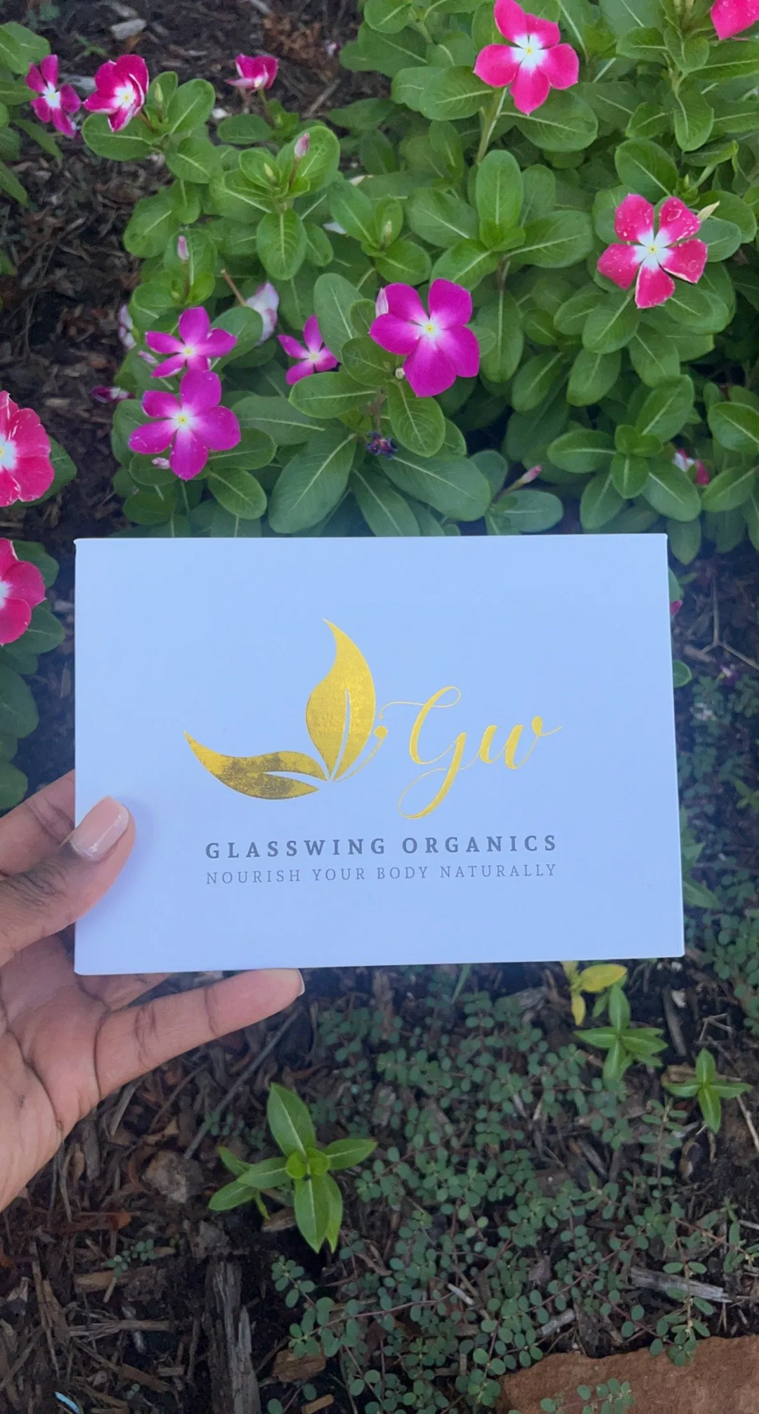 STAINLESS STEELE FACE ROLLER & GUASHA SET image 2