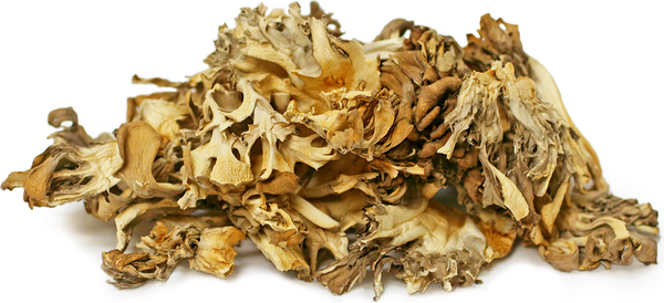 Maitake Mushroom image 0