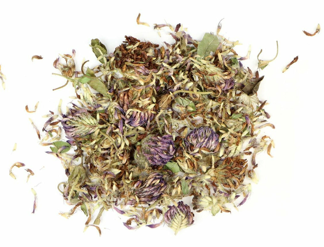 Red Clover image 0