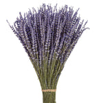 Load image into Gallery viewer, Lavender image 0
