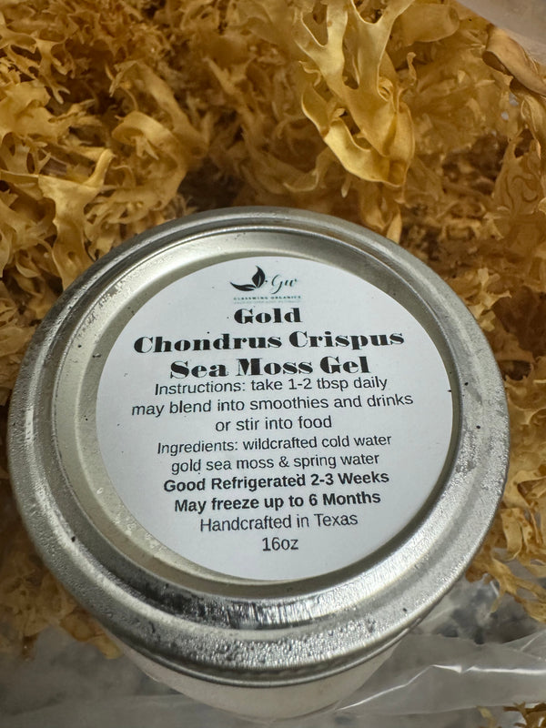 Chondrus Crispus Sea Moss Gel image 0