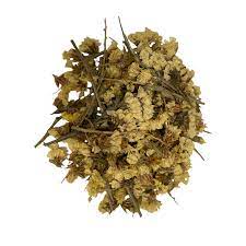 Evening Primrose – GlassWing Organics