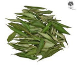 Load image into Gallery viewer, Olive Leaf image 0
