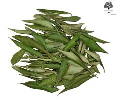 Olive Leaf image 0