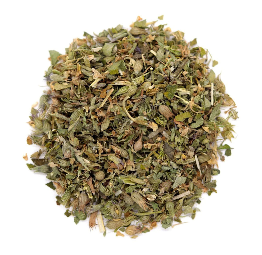 Organic Catnip (Nepeta cataria) image 0