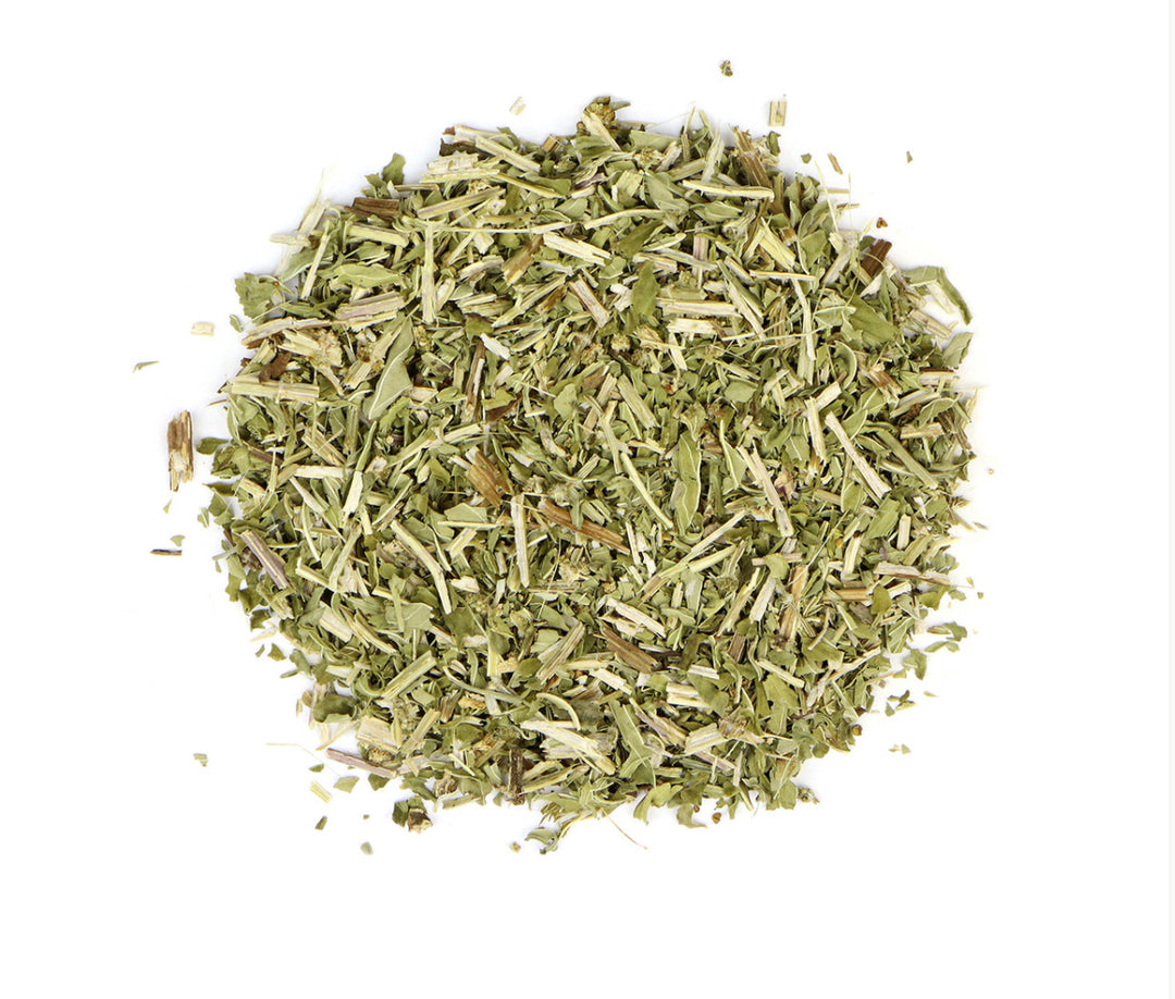 Organic Bugleweed  image 0