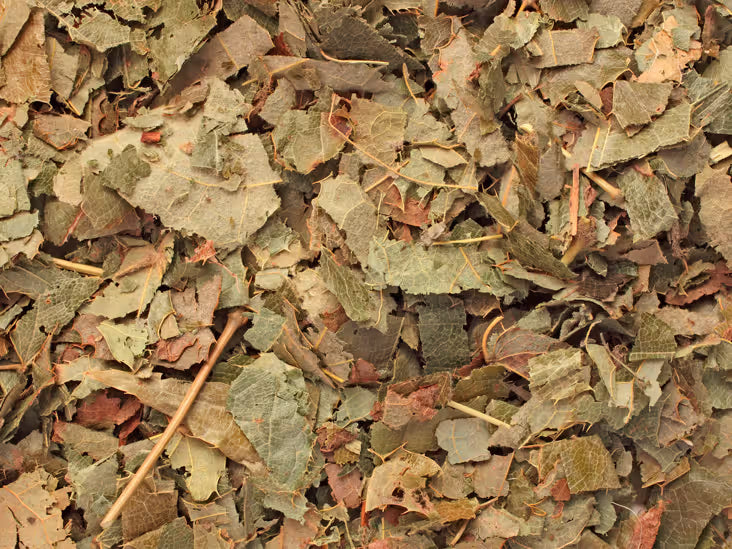 Horny Goat Weed image 0