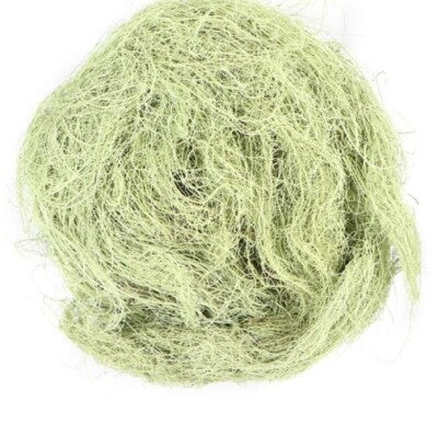 Usnea Lichen