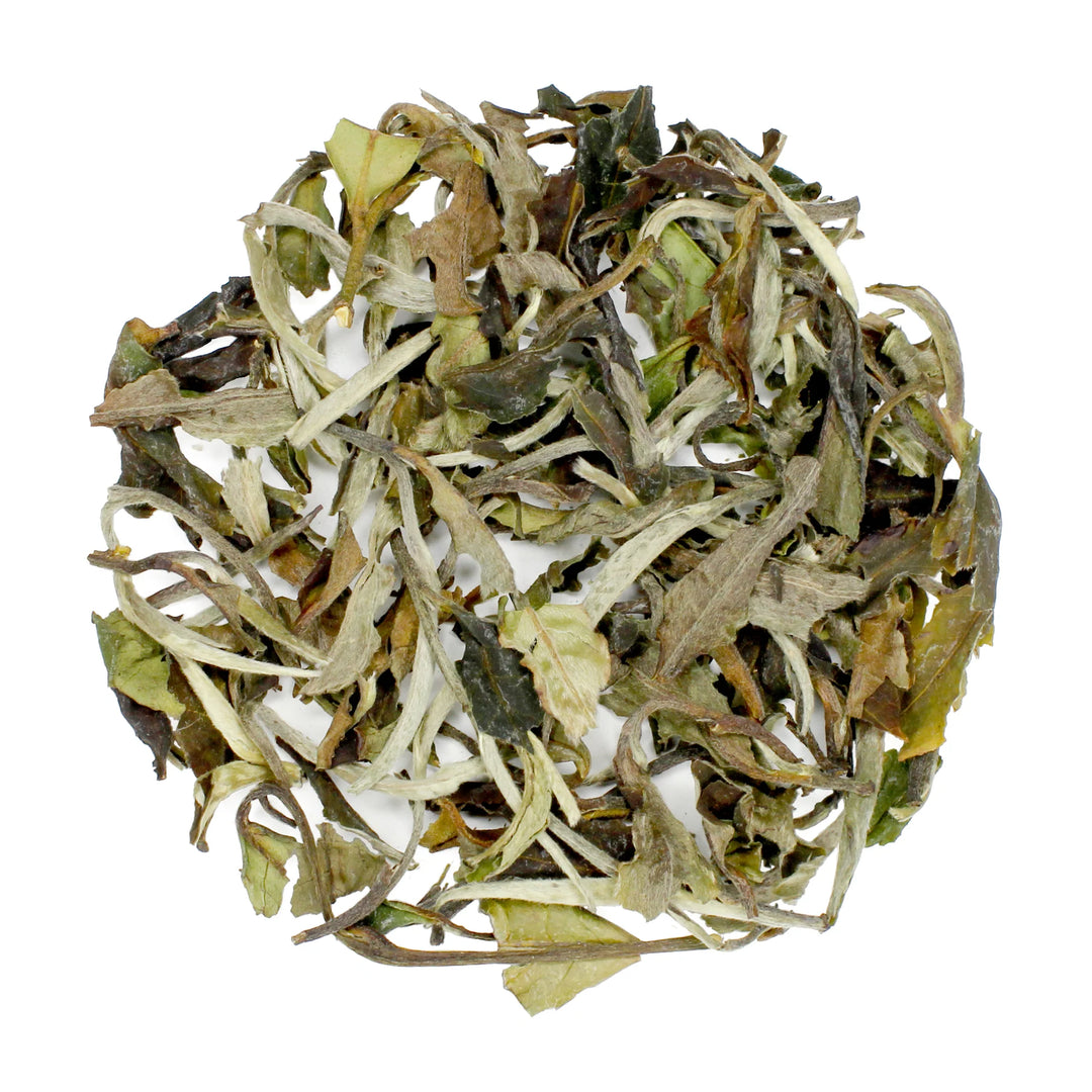 White Peony Leaf