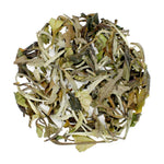 Load image into Gallery viewer, White Peony Leaf
