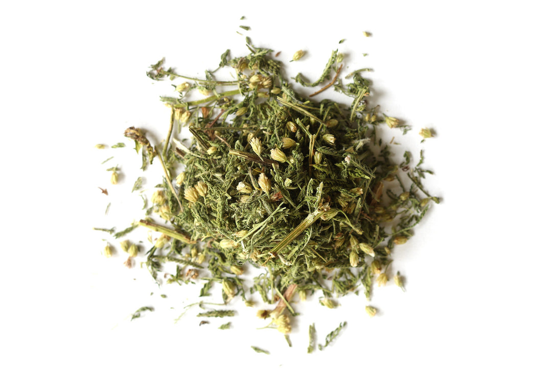 Yarrow Leaf