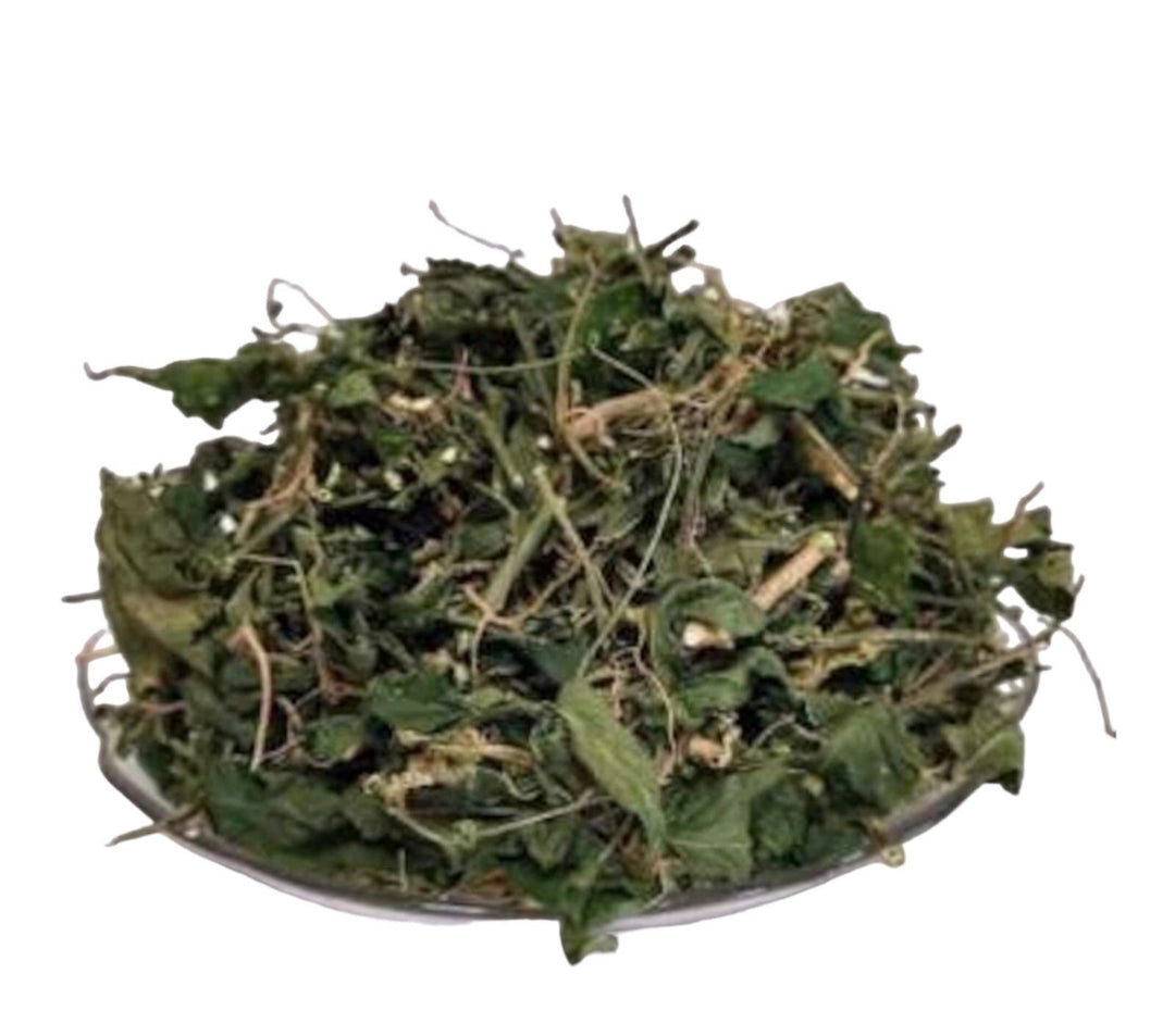 Organic Jamaican Dog Blood image 0