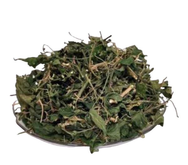 Organic Jamaican Dog Blood image 0