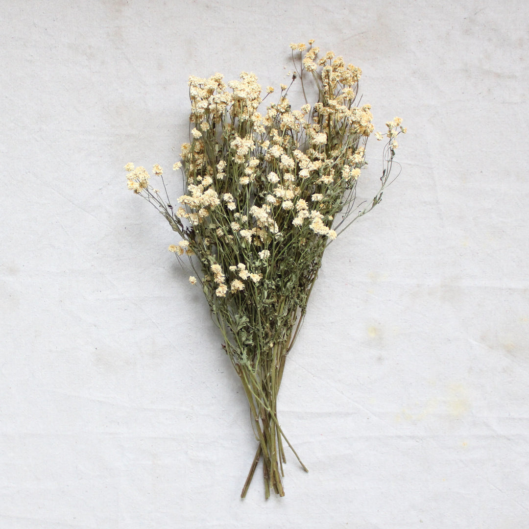 Organic Feverfew Powder image 0