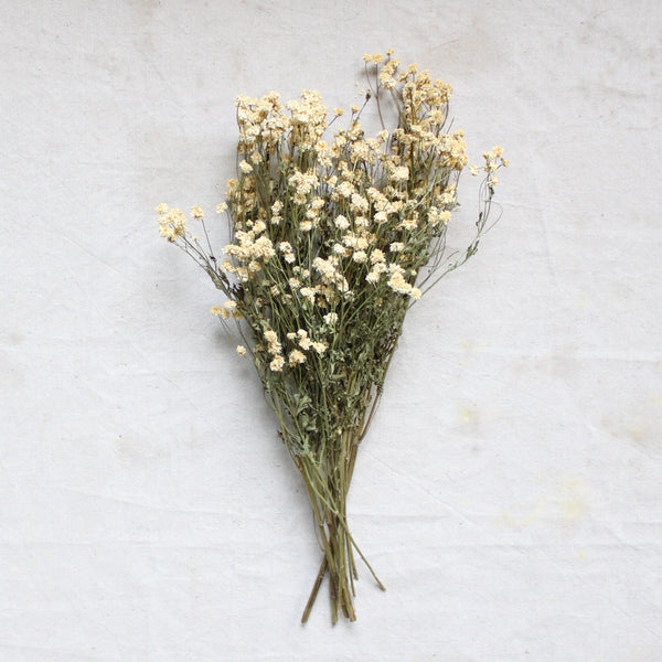 Organic Feverfew Powder image 0