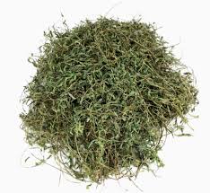 Jamaican Medina image 0