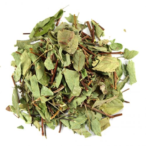 Strongback (Strongbark) image 0