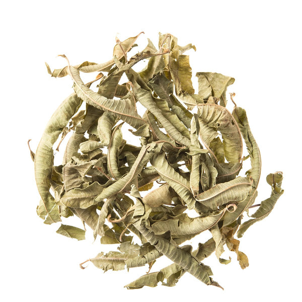 Lemon Verbena image 0
