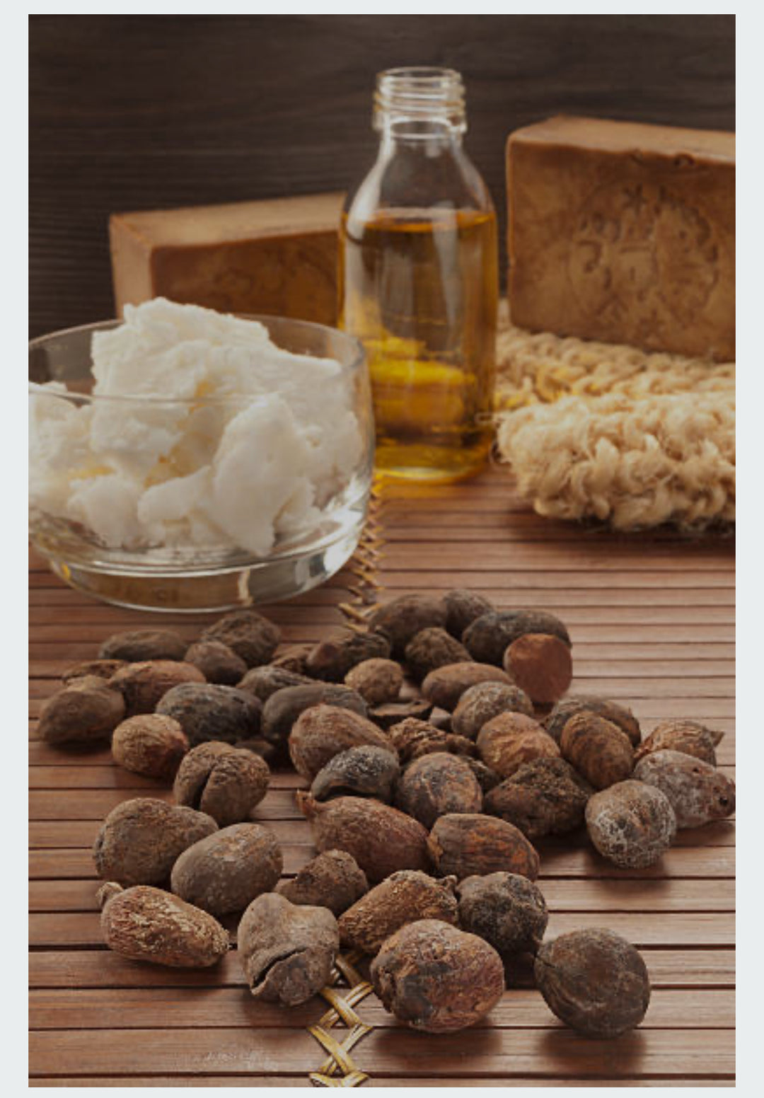 CocoaShea Body Oil  Collection image 1