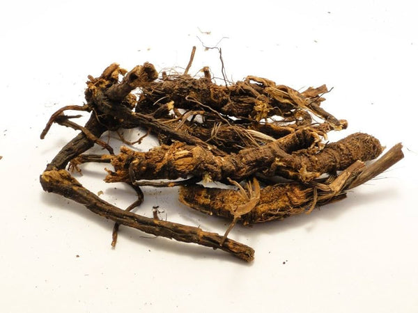 Osha Root image 0